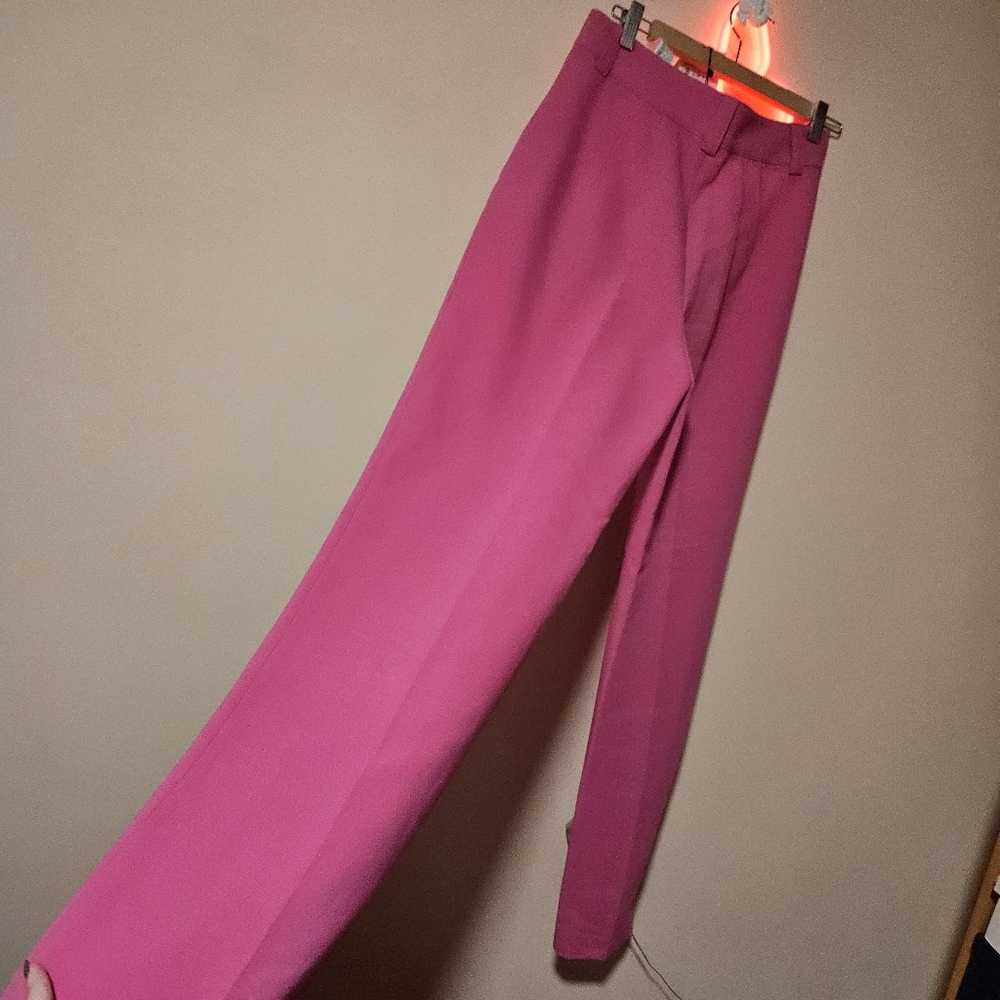Zara Barbis Pink Slacks